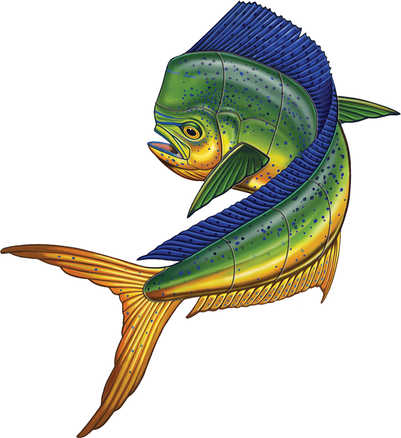 Porcelain Mahi Mahi Up Mosaic — Custom Mosaics